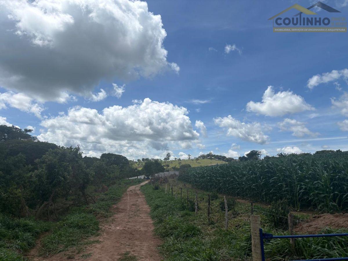 WhatsApp Image 2025-12-11 at 13.22.58.jpeg